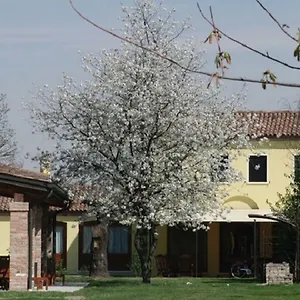 particolari-del-brenta.hotelinveneto.com/