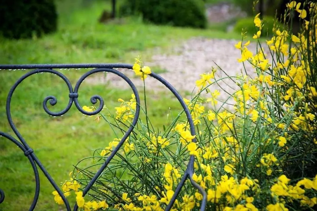 Bed & Breakfast B&B Podere Calvanella San Clemente